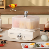 Cuiseur à œufs électrique multifonctionnel pour la maison et le dortoir, pot à œufs électrique pour le petit-déjeuner et marmite à œufs portable