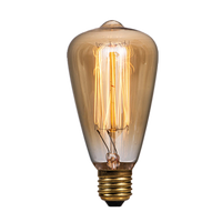 Ampoule halogène industrielle vintage 25W 40W 60W Edison ST48 110 V 220V Lumières Globes Ampoules à incandescence vintage