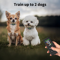 Nouveauté : Collier de dressage pour chien intelligent, étanche, à longue portée, avec télécommande vibrante rechargeable et écran LED