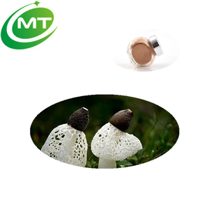 무료 샘플 베일 레이디 버섯 추출물 30% 다당류 Dictyophora Indusiata 버섯 추출물 분말 면역 지원 - Product Image 3