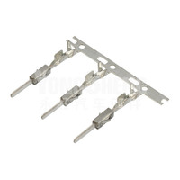 Produsen IATF 16949 Berkualitas 2-1563759-1 Konektor Otomatis Tersedia dalam Stok dengan Terminal Housing Crimp Socket Header Elektronik