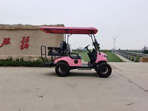 Voiturette de <span class=keywords><strong>golf</strong></span> rose à 4 places, homologuée pour la route, entretien facile, pour les parcs, les attractions touristiques, les terrains de <span class=keywords><strong>golf</strong></span>, les centres d'exposition - Product Image 2