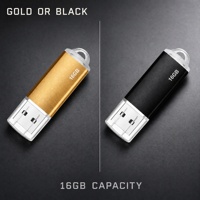 Flashdisk USB Metal 16GB Gantungan Kunci Tutup Transparan Emas Hitam Logo Custom Pen Drive Kecepatan Tinggi Hadiah Bisnis Promosi Grosir