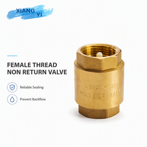 Clapet anti-retour vertical en laiton à ressort, filetage femelle BSP, pour système de conduite d'eau de yacht marin - Product Image 5