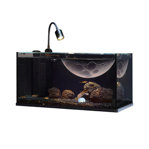 Aquarium de bureau carré tout-en-un avec filtre intégré, projecteur zoomable 3 couleurs, verre ultra-clair à faible teneur en fer, nano-aquarium vivant - Product Image 6