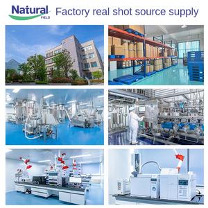 Poudre <span class=keywords><strong>de</strong></span> feuille <span class=keywords><strong>de</strong></span> vigne <span class=keywords><strong>de</strong></span> serpent à dents <span class=keywords><strong>de</strong></span> fer, ingrédient <span class=keywords><strong>de</strong></span> boisson soluble dans l'eau, extrait <span class=keywords><strong>de</strong></span> thé <span class=keywords><strong>de</strong></span> vigne, SC Dihydromyricetin 98% - Product Image 2