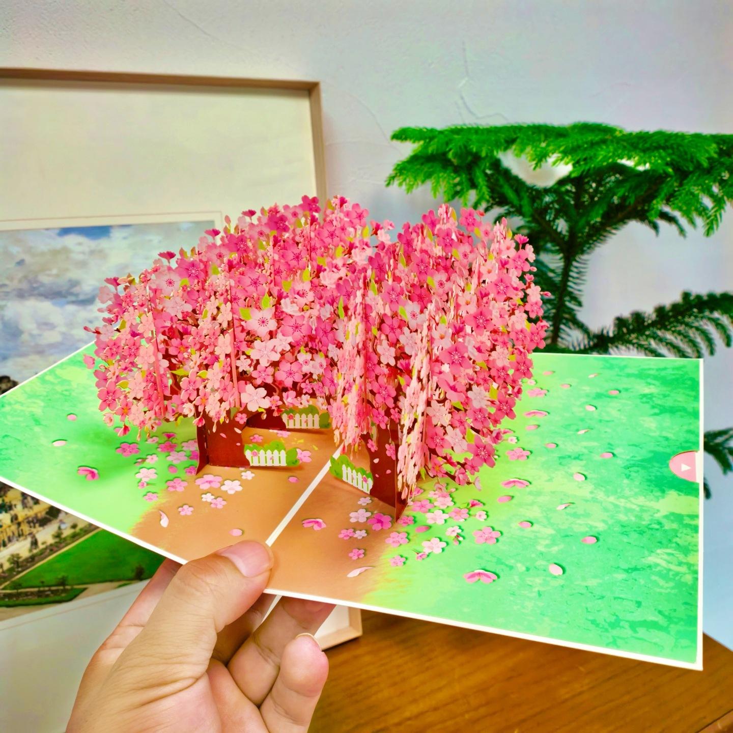 Las flores de cerezo florecen