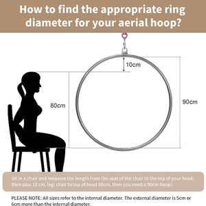 Ensemble de cerceaux aériens Wellshow Sport Lyra Hoop avec matériel de gréement Cerceau unique en acier inoxydable Circus Idéal pour le studio de danse - Product Image 2