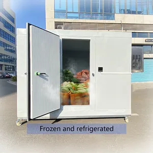 10ft Mini Commercial Stockage Reefer Conteneur Réfrigération Chambre Froide Unité Industrielle Portable Marche Congélateur