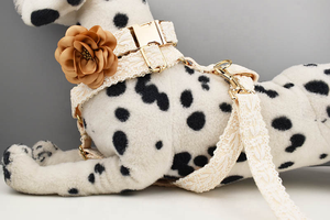 Set <span class=keywords><strong>Pettorina</strong></span> e Guinzaglio per Cani in Pizzo Carino, Taglie S-XL, Collari per Animali Domestici Piccoli e Medi, Accessorio con Fiocco - Product Image 5