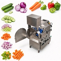 Ervarangetrouwd 	 Commerciële machine voor het snijden van lente-ui, kool, aardappel, komkommer en andere groenten 	 Fruitverwerkingsmachine