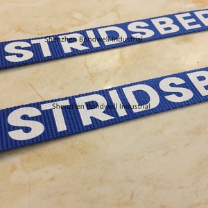 Biểu tượng tùy chỉnh in hàng hóa Tie xuống lashing dây đai với cam khóa Khóa - Product Image 2