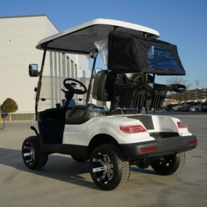 Auto Elettrica da Golf a 2 Posti di Alta Qualità per Hotel, Campus, Parchi, Caricabatterie Rapido, Golf Buggy, Auto Turistica per Aeroporti, Servizio OEM - Product Image 4