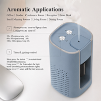 Vente Flash : Diffuseur Nébuliseur d'Huiles Essentielles Sans Eau pour Bureau, Hôtel, Spa et Studio