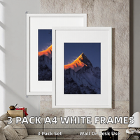 Lot de 3 cadres photo en bois avec support chevalet, design léger, verre incassable, passe-partout interchangeable, fixation murale verticale