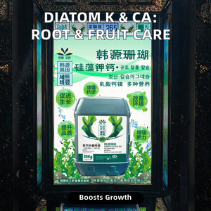 Supplément nutritif liquide <span class=keywords><strong>de</strong></span> diatomée avec prévention du gonflement des fruits <span class=keywords><strong>de</strong></span> potassium et <span class=keywords><strong>de</strong></span> <span class=keywords><strong>calcium</strong></span> - Product Image 3