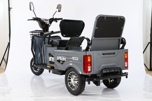Triciclo, Motocicleta de 3 Ruedas, Scooter de Largo Alcance con Batería de Plomo-Ácido - Product Image 4