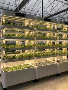 Système de culture hydroponique vertical intelligent New Home-Jardin de culture de fruits et légumes intelligent <span class=keywords><strong>d</strong></span>'<span class=keywords><strong>intérieur</strong></span> - Product Image 6