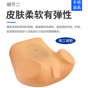 Modèle de formation gynécologique ; Modèle d'examen gynécologique interne pour femmes ; Modèle de formation maternelle et infantile ; Modèle utérin - Product Image 5