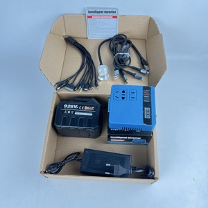 <span class=keywords><strong>Dashu</strong></span> Express Batería de litio personalizada 21V a 110/220V Convertidor inversor de corriente dc-av - Product Image 5