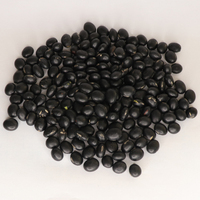 Soja noir de marque Nihewan en gros de Chine, 10 mm, origine Hebei, durée de conservation de 24 mois, en sacs