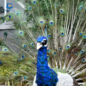 SG-RT-AA15等身大アニマトロニック孔雀機械孔雀モデルリアルな孔雀 - Product Image 2