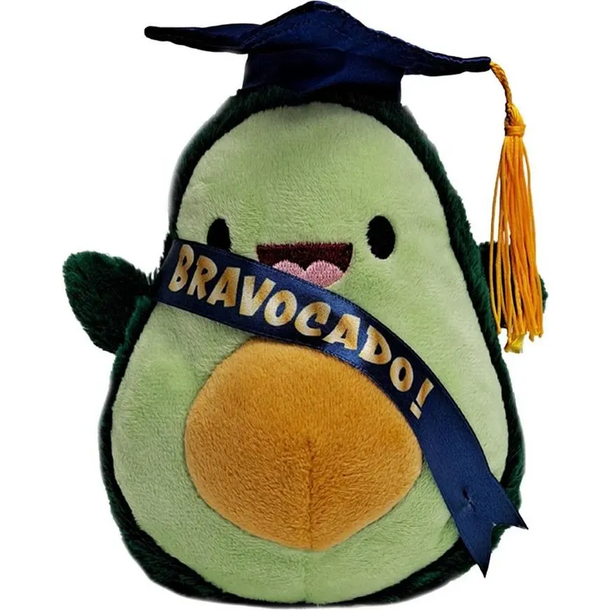 Neues Modus Roman Großhandel personalisiert individuell günstig Graduierungsgeschenk niedliche Avocado Plüsch Teddybären