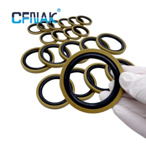 Le joint d'étanchéité CFNAK <span class=keywords><strong>Gley</strong></span> Ring possède une fonction d'étanchéité bidirectionnelle et une faible friction sans glissement. - Product Image 3