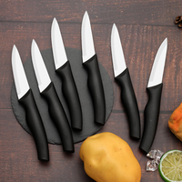 Offre Spéciale : Lot de 6 Couteaux d'Office à Lames en Acier Inoxydable, Manche Ergonomique en Plastique, Boîte Colorée – Ustensile de Cuisine pour Usage Quotidien