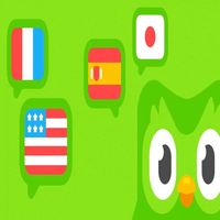 Cuenta Premium Duolingo Pro Edu, 1 Año, Aplicable en Todo el Mundo, Activa Tu Propia Cuenta
