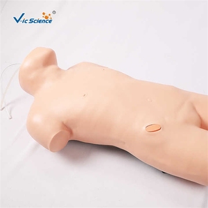 Simulador de entrenamiento de PVC De ciencia médica avanzada modelo de entrenamiento de enfermera para maniquí de punción de médula ósea - Product Image 3
