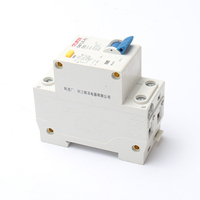 Disjoncteur différentiel miniature DZ40LE-63 RCBO 1P+N 2P avec protection contre les fuites à la terre pour boîtier de distribution domestique