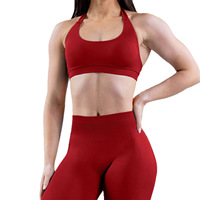 Soutien-gorge de sport sexy sans couture pour femmes grandes tailles, bleu lac, dos nu, côtelé, séchage rapide, couleur unie, vente en gros personnalisée