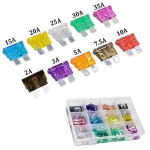 100 Pcs Autotive Standard ar INI lade use 10A Fo Fuse más antiguo