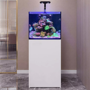 Custom Ultra Helder Rechthoek Glas Groot Zoutwater <span class=keywords><strong>Aquarium</strong></span> Moderne Stijl Met Doos Verpakking Voor Zeeleven - Product Image 5