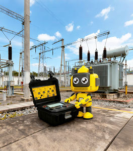 D1110 Geluidsdempende functie Hoogspannings digitale 10kV isolatieweerstandmeter - Product Image 4