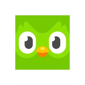 Cuenta Premium Duolingo Pro 1 Año, Activa Tu Propia Cuenta, Aplicable Globalmente en Todo el Mundo - Product Image 3