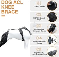 Genouillère pour chien pour support ACL déchiré avec attelle en métal Attelle de jambe pour chien avec support à charnière en métal pour un meilleur soutien et une meilleure récupération