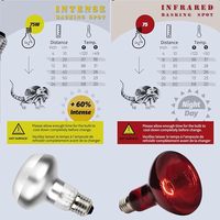 Ampoules pour reptiles R63 R80 Lampe infrarouge 110-130V /220-240V 40w 60w 100w E26 E27