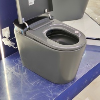 Nouveau modèle 2026 : WC intelligent gris-noir givré, avec siège chauffant et télécommande, idéal pour les salles de bain de villas