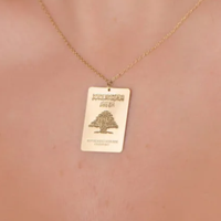 Collier pendentif passeport libanais plaqué or 18 carats, acier inoxydable, étanche, bijoux de voyage libanais, souvenir cadeau