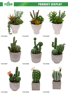 2026 pour jardinières en plastique avec trou de drainage et plateau en bambou, pot mural suspendu pour plantes succulentes et mini-cactus