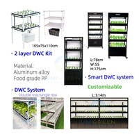 Système hydroponique DWC, armoire verticale, kit d'eau profonde, kit de plantation modulaire personnalisé et mobile pour la laitue, le bureau et la serre
