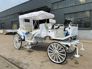 Veicolo Elettrico per Giro Turistico, Carrozza a Bassa Velocità Senza Cavalli per Trasporto Passeggeri / Carrozza a Cavalli Omologata CE - Product Image 5