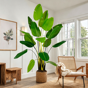 Venta <span class=keywords><strong>al</strong></span> por Mayor de Planta Artificial de Ave del Paraíso de 8 pies con 13 Troncos, Strelitzia Nicolai Realista para Proyectos Comerciales - Product Image 1
