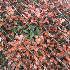 Malla de Alambre Galvanizado en Caliente Moderna, Duradera, Personalizable, con Varios Diámetros de Alambre, para Jardín, <span class=keywords><strong>Parque</strong></span> e Industria - Product Image 3