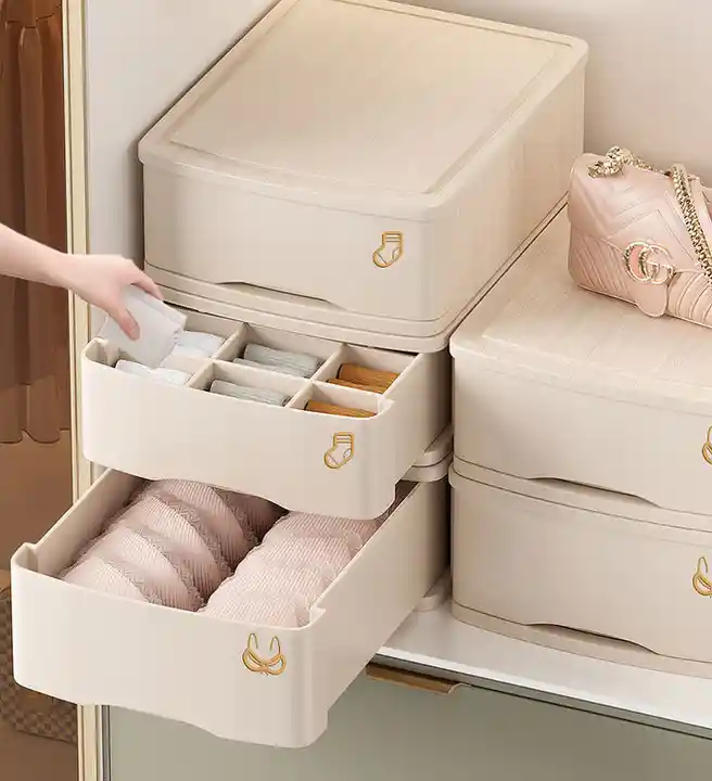 Underwear Bra Storage Box Closet Organizer Scarf Sock Bag Drawer Cabinets