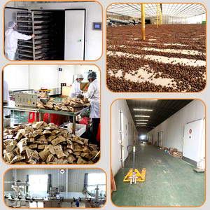 中国纯天然干桂皮香料批发供应 10公斤装，用于烹饪 - Product Image 5