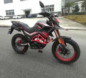 FUEGO <strong>TEKKEN</strong> 250 Cheap for Sale <strong>250cc</strong> All Terrain <strong>Motorcycle</strong> 11190143 - Product Image 6