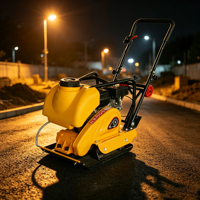 Compacteur de sol professionnel certifié CE, machine à plaque vibrante à essence pour les projets de construction routière